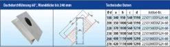 EKA Brandschutz Dachdurchführung 60°, Wandstärke Bis 240 Mm -Brunner Grillen Geschaft 09b485f0752d59d7d035df57cbc41401