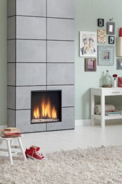 Gaskamin Dru Global 60XT BF RCE -Brunner Grillen Geschaft 5927 1