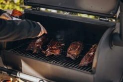 MOESTA-BBQ Sheriff Pelletgrill Ohne Ablagebrett 14 MOESTA-BBQ Sheriff Pelletgrill Ohne Ablagebrett -Brunner Grillen Geschaft wintershooting 421 bbqpinsel 1